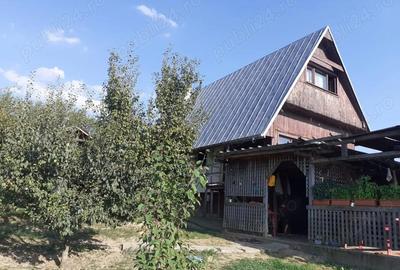 Casă cu 2 camere cu Teren 4000 Mp în Bârnova - 12