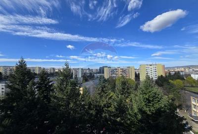 Apartament cu 2 camere semidecomandat, mobilat în Gheorgheni - 14