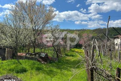 Spațiu comercial, în Săliștea - 7