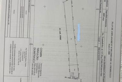 Teren de 4009 mp, în Drăguțești - 1