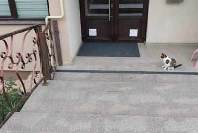 Apartament cu 2 camere semidecomandat în Păcurari - 2