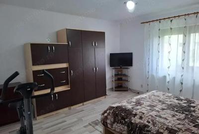Casă cu 6 camere cu Teren 414 Mp în Nădlac - 1