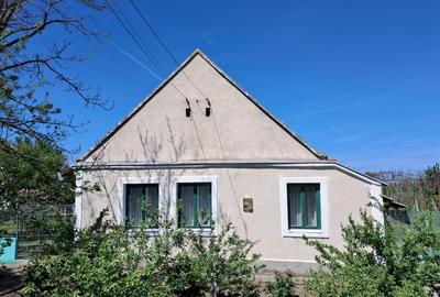 Casă individuală cu 4 camere cu Teren 2676 Mp în Vălcani - 2