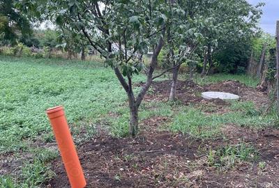 Casa si Gradina de Vanzare Pozitie Centrala pe Loc Drept - 9