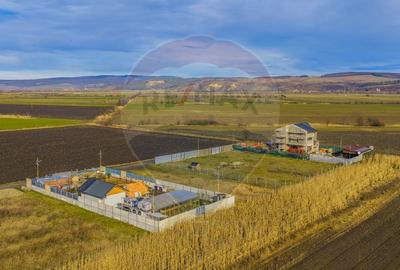 Teren intravilan 800mp Bod / Strada Iasomiei/ zona agrement Cismasu! - 8