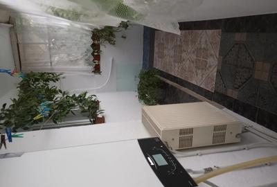 Apartament cu o camera confort 1. - 1