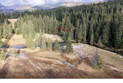 Teren de vânzare – Oportunitate investițională - Peșteră–Padina - 5