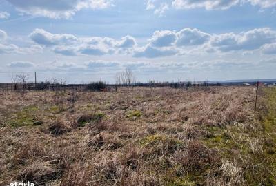 Spațiu comercial, în Preajba - 2