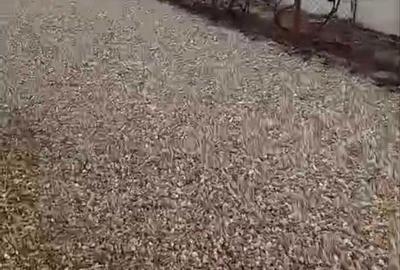 Casă cu 4 camere în Ologeni - 7