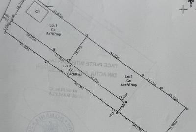 Teren Construcții intravilan de 2900 mp, în Dezmir - 4