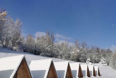 Casă cu 4 camere cu Teren 62000 Mp în Horea - 11