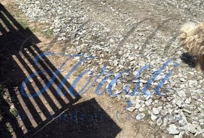 Casa 4 camere in Suatu - 16