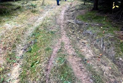 Vanzare 5,3 ha pasune deasupra Voronetului Suceava - Proiect Turistic - 20