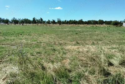 Parcele terenuri intre 600 si 1776 mp, Albota morlovani - 1