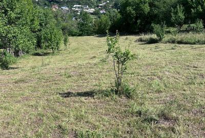 Teren de 3026 mp, în Gârcina - 2