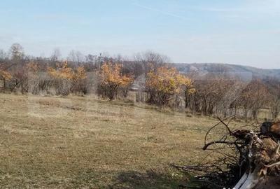 Teren de 3360 mp, în Aninoasa - 4