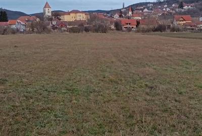 Teren de 3800 mp, în Central - 3