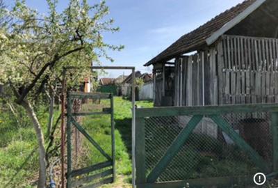 Casă cu 4 camere cu Teren 3000 Mp în Ianoșda - 4