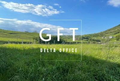 Teren de 757 mp, în Viișoara - 3