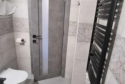 Apartament 2 camere Nicolina-Belvedere decomandat, RENOVAT - 8