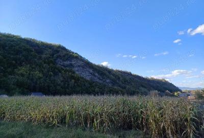 Teren de 2800 mp, în Central - 3