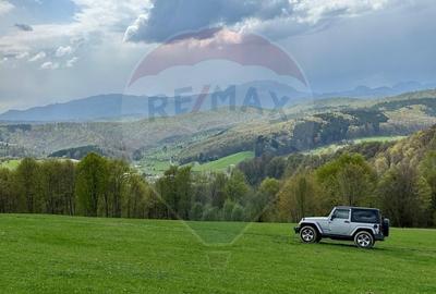 Teren de vanzare 11,435mp/ Sita Buzaului - 5
