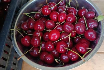 Teren (curte ingradita)de inchiriat 1200mp Cristian - 8