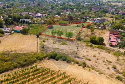 Mini?- destina?ia ideala pentru o resedin?a de lux ?... - 2