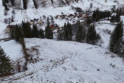 Spațiu comercial, în Pojorâta - 2