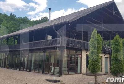 Casă cu 5 camere cu Teren 3000 Mp în Făget - 11