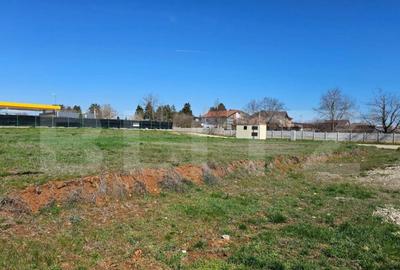 Teren intravilan destinatie construire, Targoviste Vest - Ca - 3