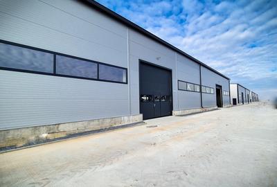 Hale,spatii industriale Albota,Pitesti Arges - 1