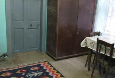 Locuin?a ideala pentru via?a rurala sau turism Dane?, Mure? - 2