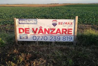 Teren de 15000 mp, în Topolovățu Mare - 3