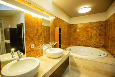 Vila deosebita Braytim - 21