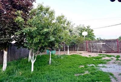 Casă cu 5 camere cu Teren 720 Mp în Cruceni - 2