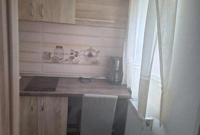 Garsonieră semidecomandată, mobilată în Buziașului - 3