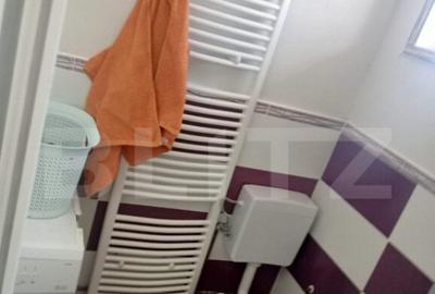 Casa spatioasa in Sanmihaiu de Campie - 11