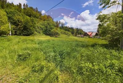 Casă cu 3 camere cu Teren 1614 Mp în Sita Buzăului - 17