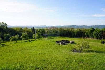 Teren Construcții intravilan de 38592 mp, în Sud-Vest - 11