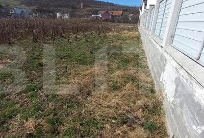 Teren de 1000 mp, în Viișoara - 1