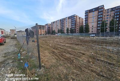 Teren de 570 mp, în Chiajna - 4