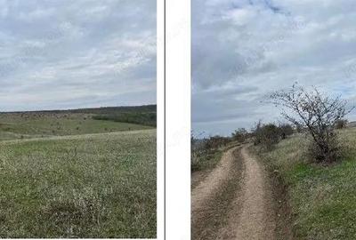 Teren extravilan Perieni, cota parte 6/16 , ID: R2822105 - 1