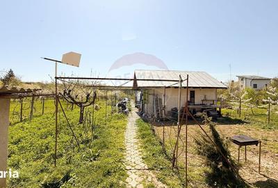 Casă cu 7 camere cu Teren 1592 Mp în Periș - 2