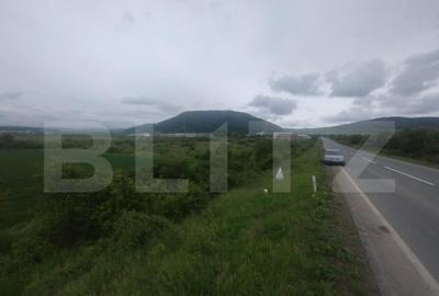 Teren extravilan de vanzare, 51 ari, zona Crainimat - 1