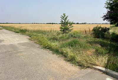 VÂNZARE TEREN - OTOPENI, STRADA CARPAȚI.OPORTUNITATE!!! - 4