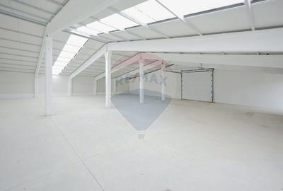 Spațiu industrial, de 5,050 mp, în Palota - 6