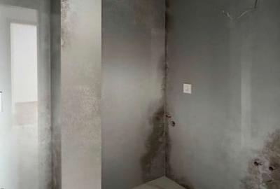 Eleganta Urbana: Penthouse  in Inima Piperei - 5