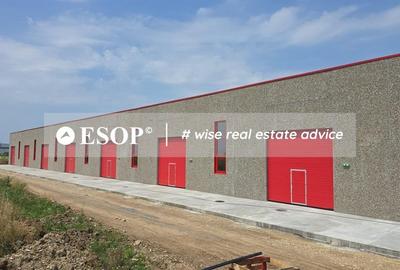 Hale industriale, parc modern, Rudeni, Chitila, Ilfov- ID 15462 Hale industriale, parc modern, Rudeni, Chitila, Ilfov- ID 15462 - 2