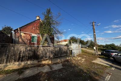 Exclusivitate comision 0% casa cu anexe si teren 3700 mp Alamor - 5